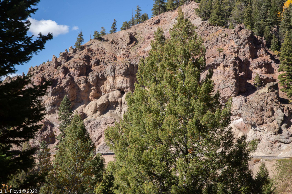 Cumbres & Toltec RR, Oct. 7, 2022
Cumbres & Toltec RR, Oct. 7, 2022
