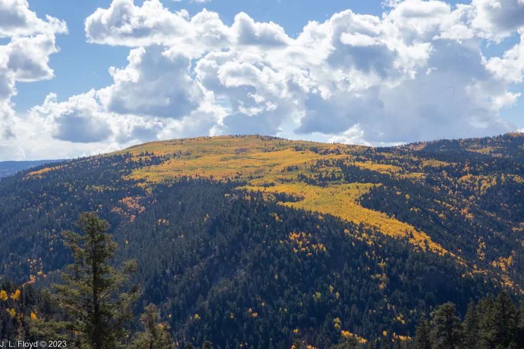 Cumbres & Toltec RR, Oct. 7, 2022
Cumbres & Toltec RR, Oct. 7, 2022
