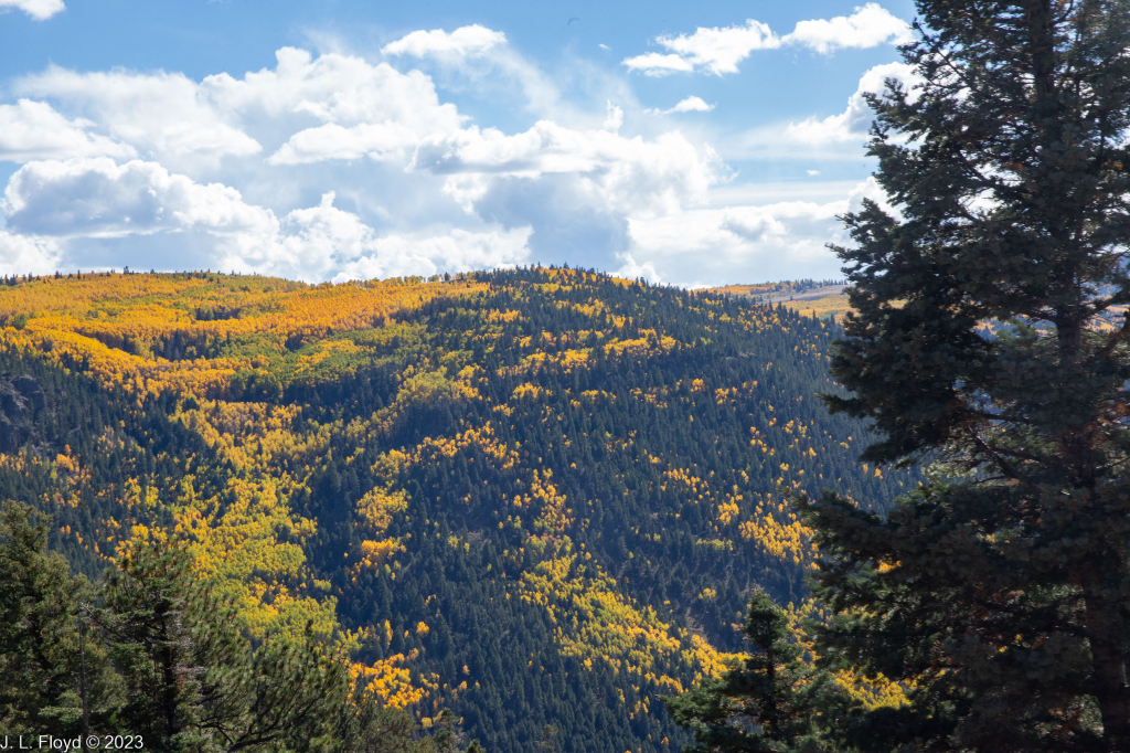 Cumbres & Toltec RR, Oct. 7, 2022
Cumbres & Toltec RR, Oct. 7, 2022
