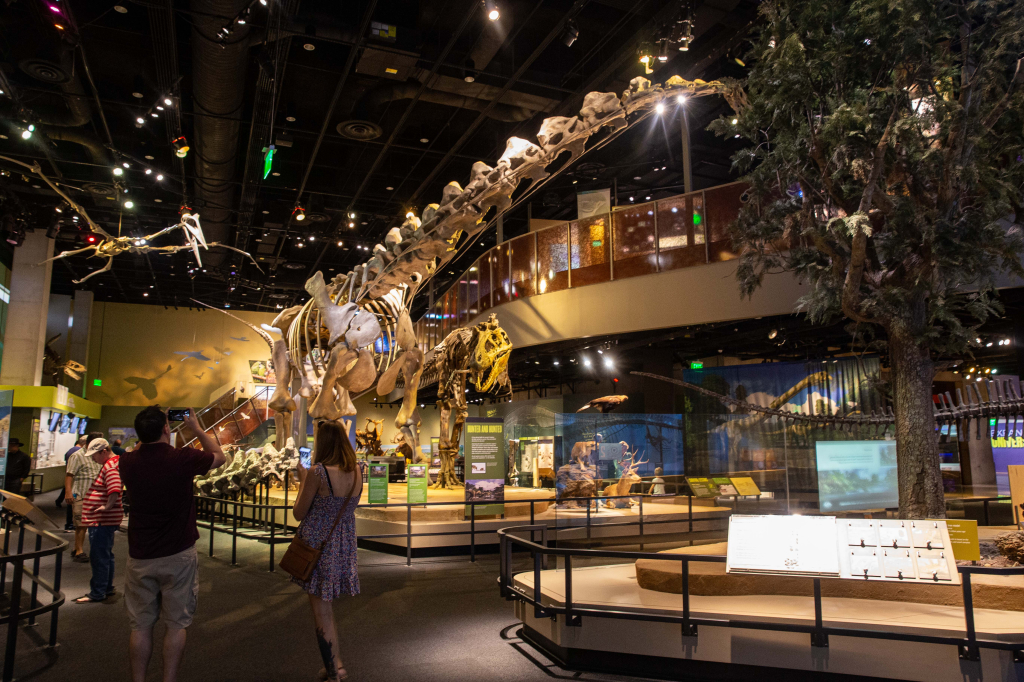 Alamosaurus and T-rex at Perot Museum in Dallas
Alamosaurus and T-rex at Perot Museum in Dallas
