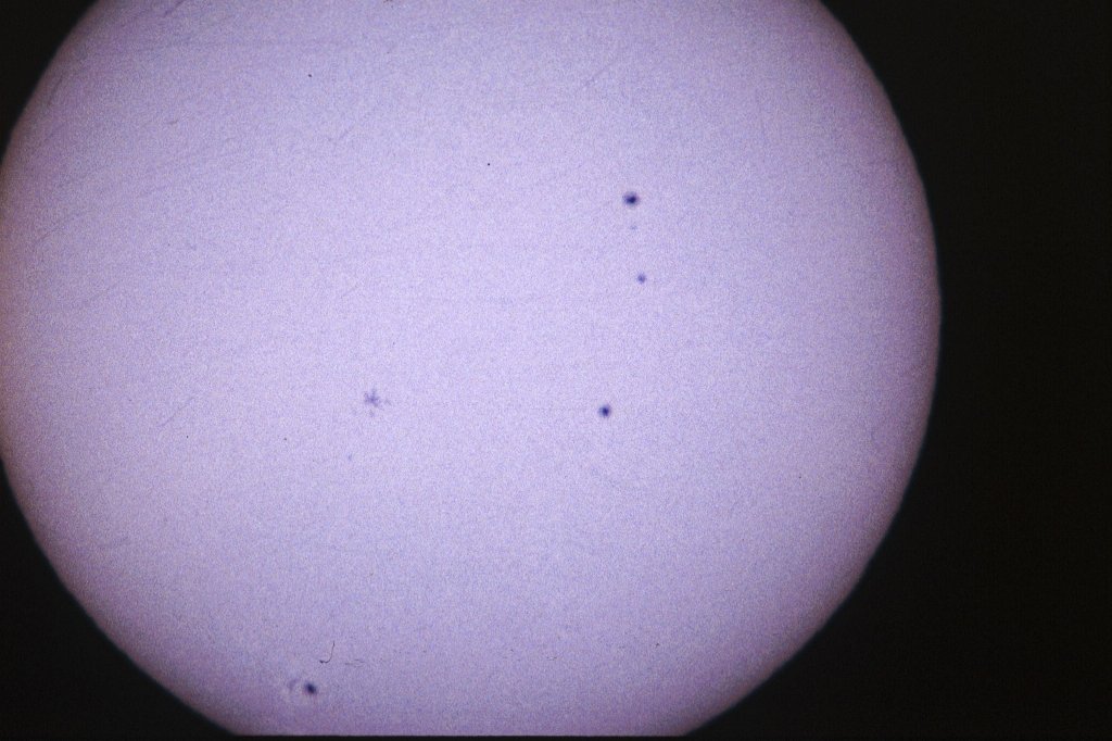 Sunspots
The Sun in this early-pre-totality eyepiece-projection shot is too big to fit into the frame, but the sunspots do show up well.
