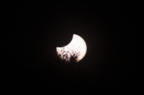 SolarEclipse-20120520-0057.jpg