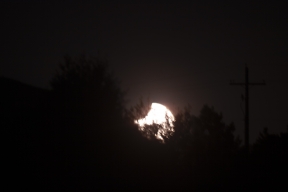 SolarEclipse-20120520-0069.jpg