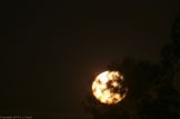 Transit_of_Venus-20120605-0319.jpg