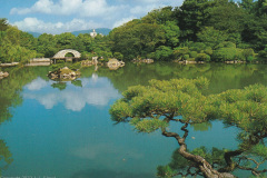 Shukkei-en Garden