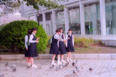 Schoolgirls feeding pigeons
