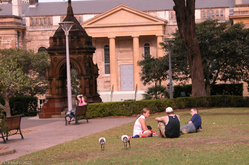 Sandie relaxes on a bench near Frazer Fountain, Hyde Park