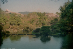 Yoshikien Garden, also known as Isuien Garden