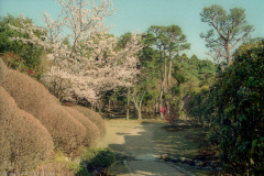 Isuien Garden