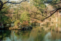 Isuien Garden pond