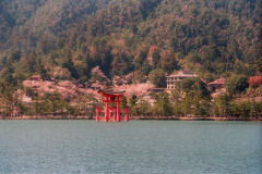 Itsukushima Floating Torii