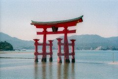 Itsukushima Torii at low tide