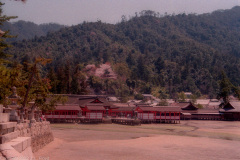 Itsukushima Shrine at low tide