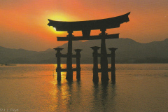 Floating Torii at Sunset