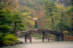 The Snow-Capped Bridge