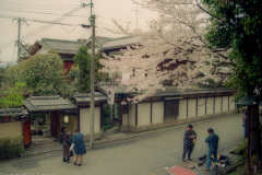 Ryokan Rikiya