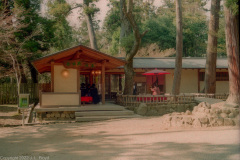 Teahouse in the park