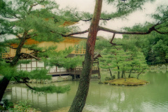 Kyoko-chi - Mirror Pond