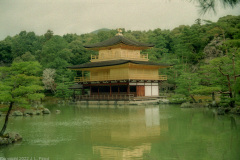 Kinkaku-ji and its pond