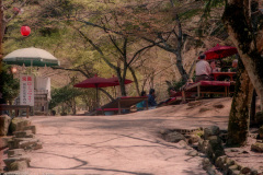 Picnickers in Momojidani Park