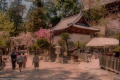 Shinto shrine