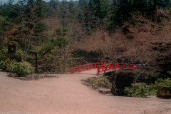 Bridge in Momijidani Park