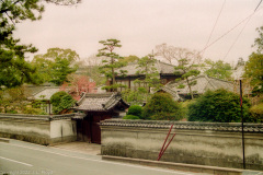 Nara-19960415-0072