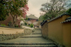 Secluded Buddhist temple