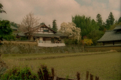 Buddhist temple