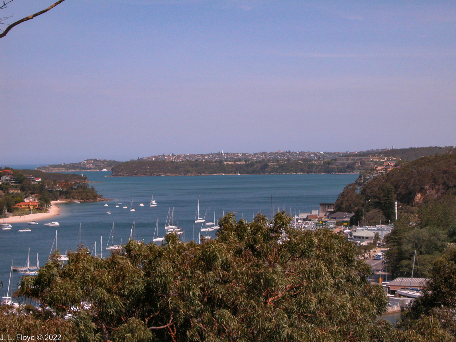 View of Sydney Bay from north Sydney