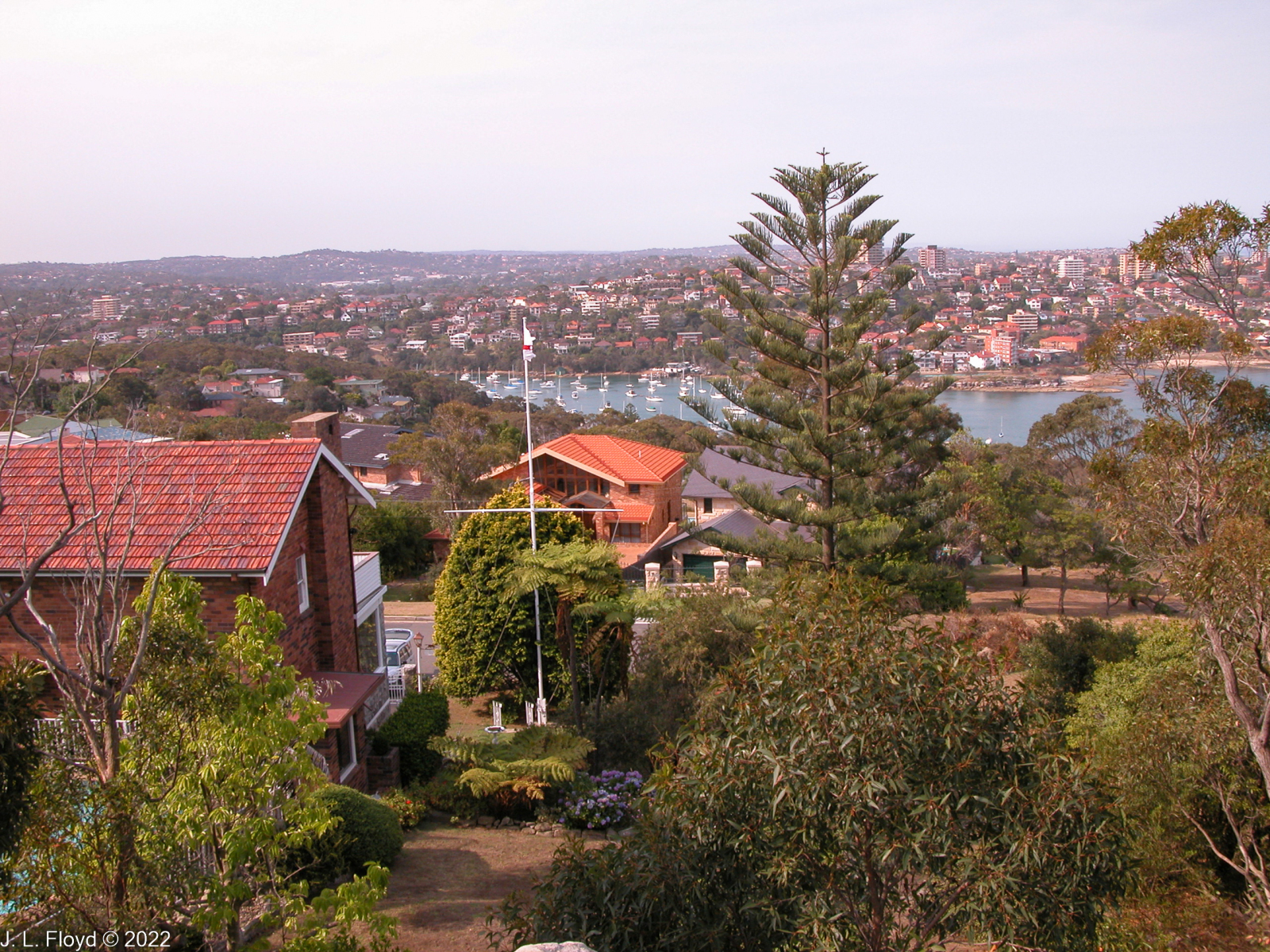 North Sydney Harbor area