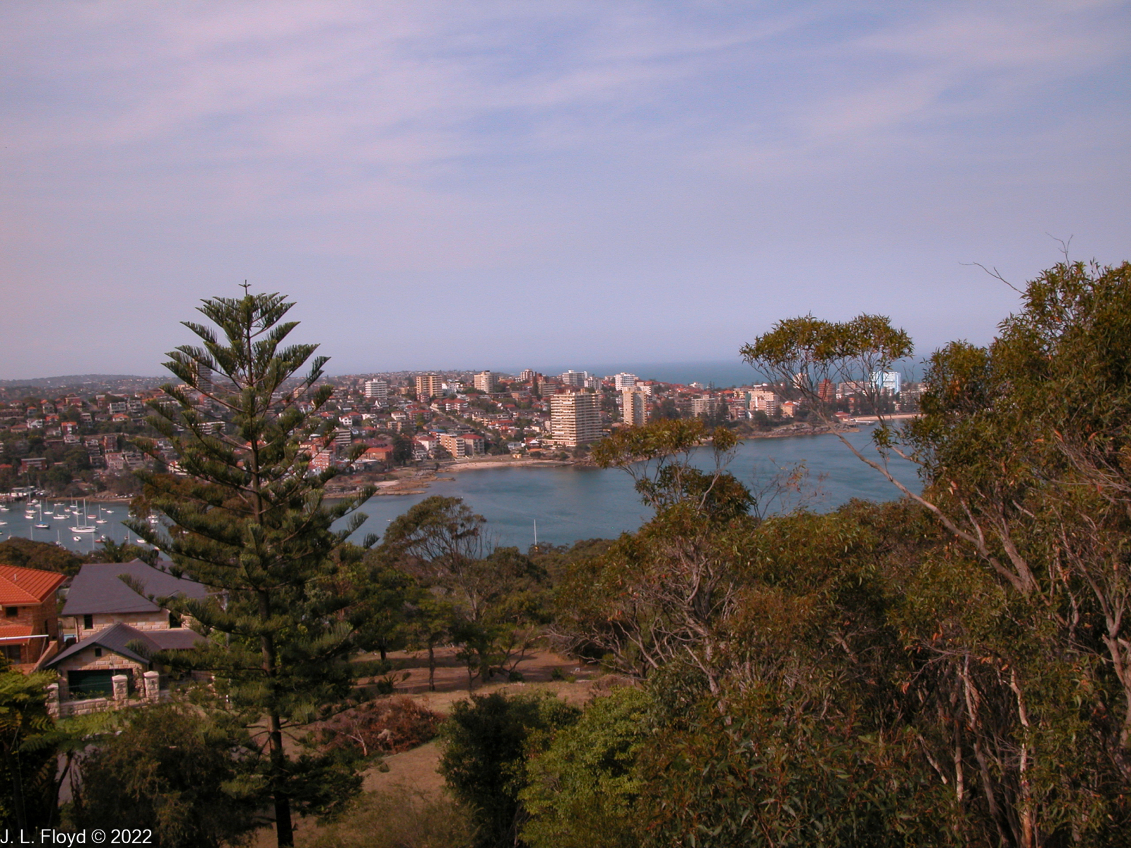 Sydney North Harbor from Balgowlah Heights