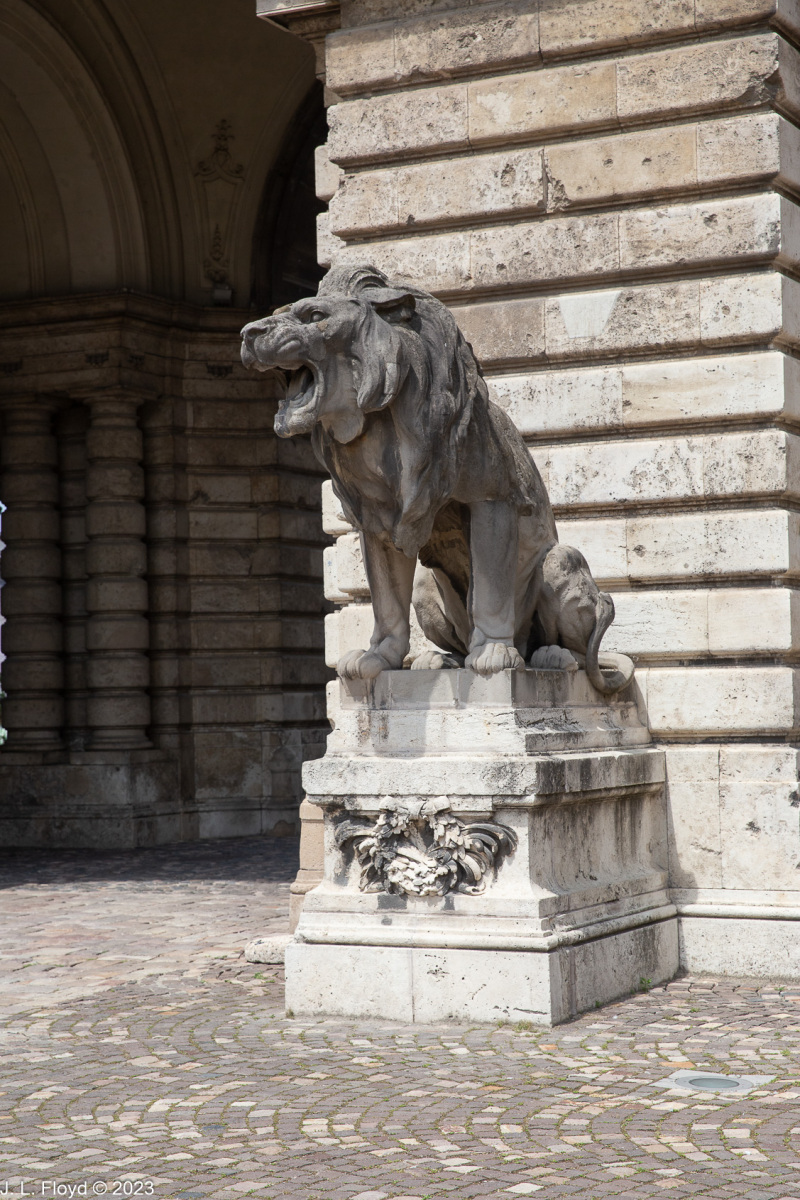Menacing Lion Menacing Lion