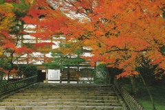 Ryoanji Temple