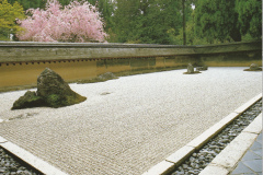 Spring at Ryoanji