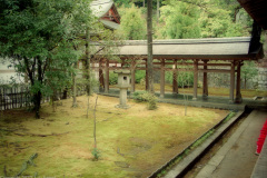 Temple Back Yard