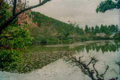 Kyoyochi Pond at Ryoanji Temple