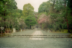 Approaches to Ryoanji Temple