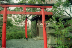 Entrance to Ryoanji Temple