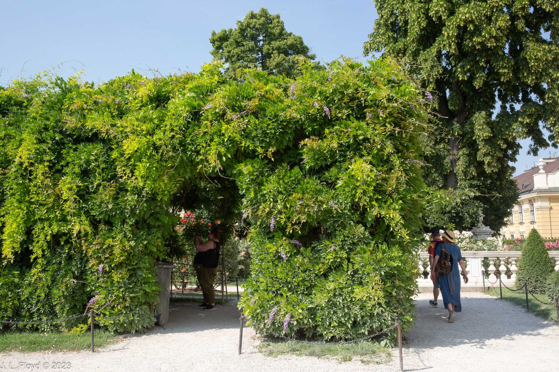 Hedge Hideaway