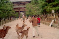 The Great South Gate