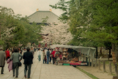 Pedestrian walk to Todai-ji