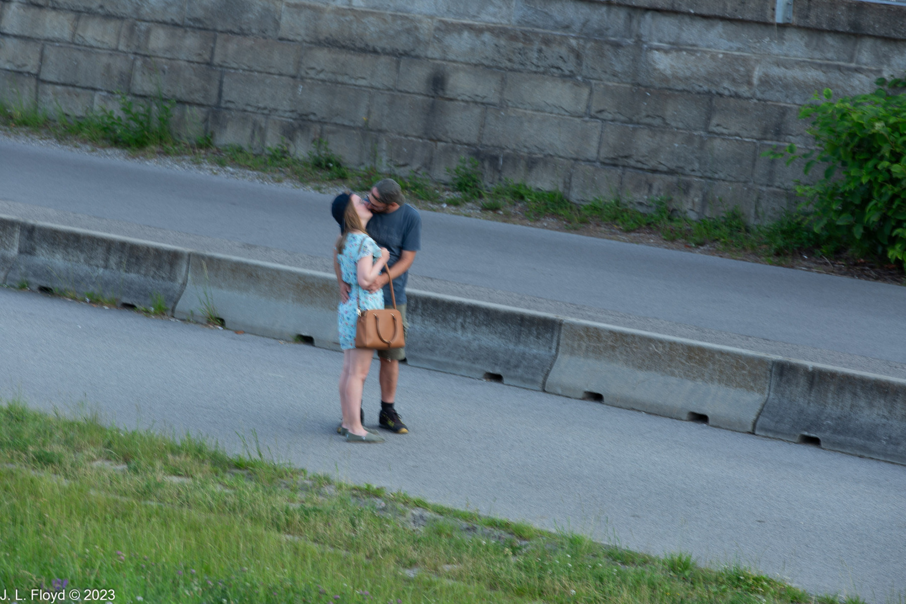 Romantic Vienna